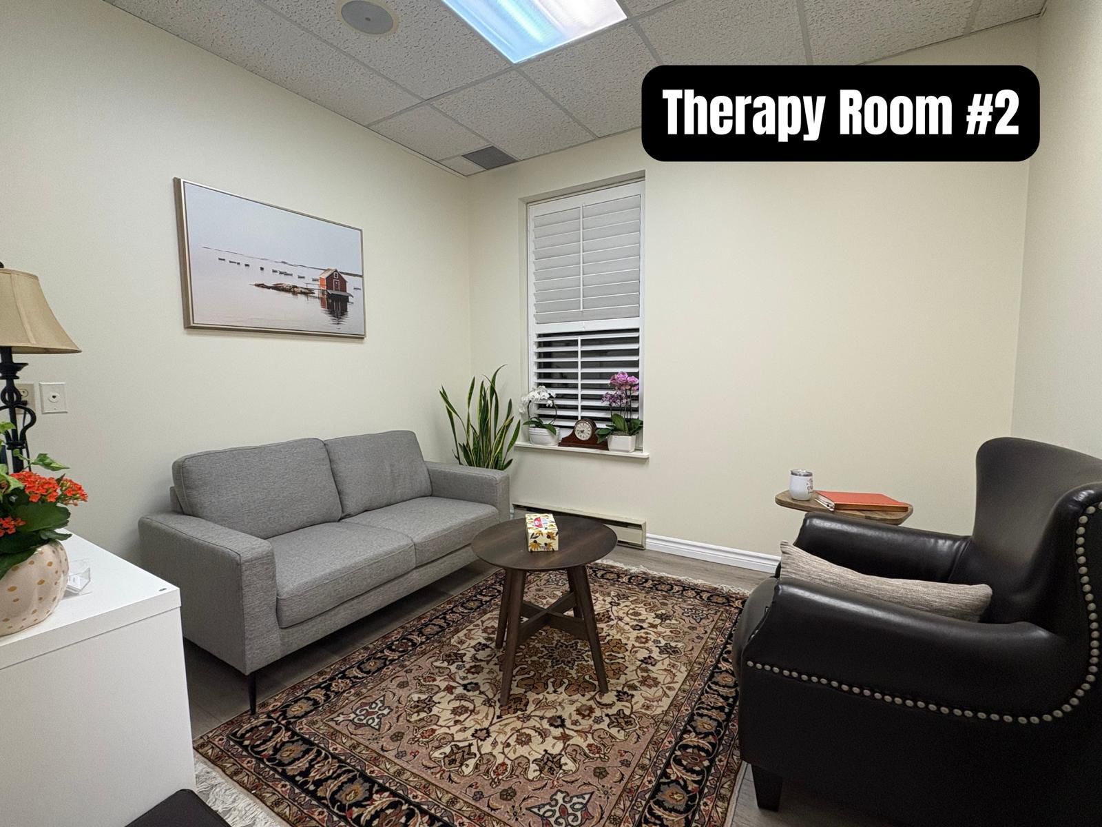 Private calming therapy space